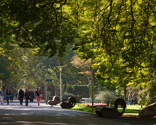 PARQUE DE LA FLORIDA